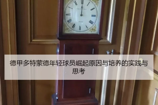 德甲多特蒙德年轻球员崛起原因与培养的实践与思考